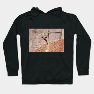 Kata Tjuta (Valley of the Winds) Hoodie